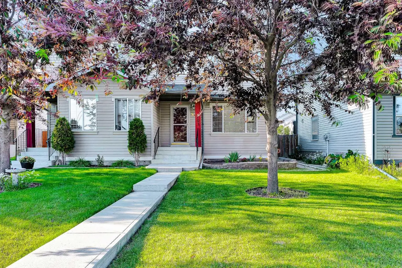 203 Covemeadow Crescent 
