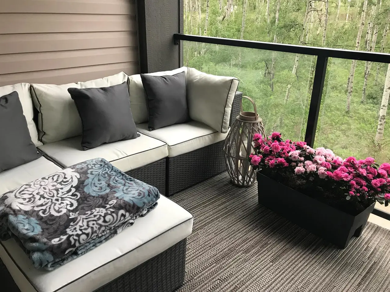 313, 25 Aspenmont Heights SW
