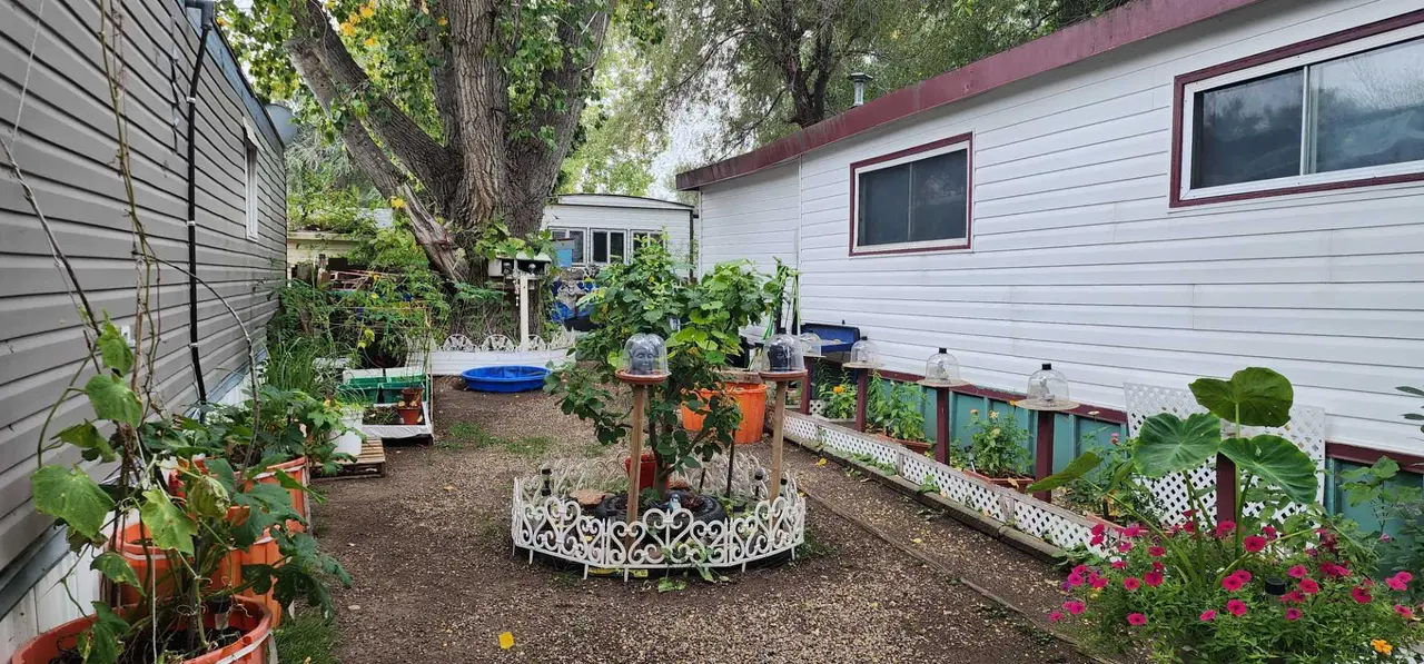 59 Greenbrook  Mobile Village  