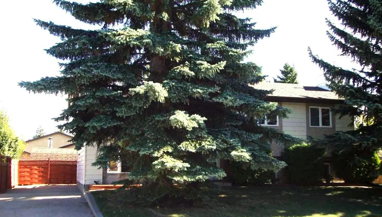 9 Ray Avenue 